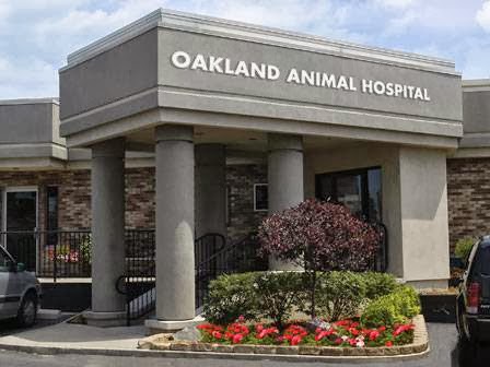 Oakland Animal Hospital - Rochester , United States