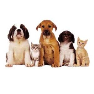 Hawthorn Veterinary Clinic - Cork , Ireland