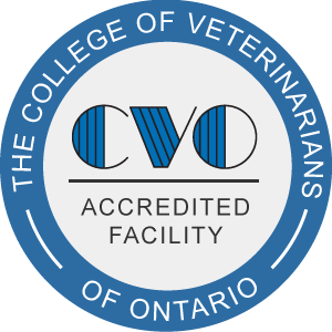 Peterborough Pet Hospital - Peterborough , Canada