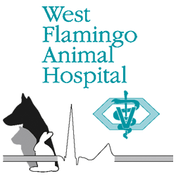 West Flamingo Animal Hospital - Las Vegas , United States