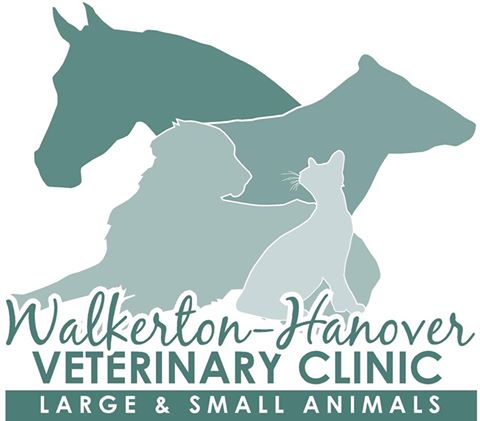 Walkerton Hanover Veterinary Clinic - Walkerton , Canada