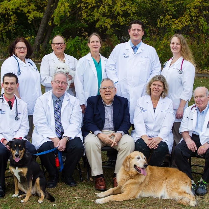 Lombard Veterinary Hospital - Lombard , United States