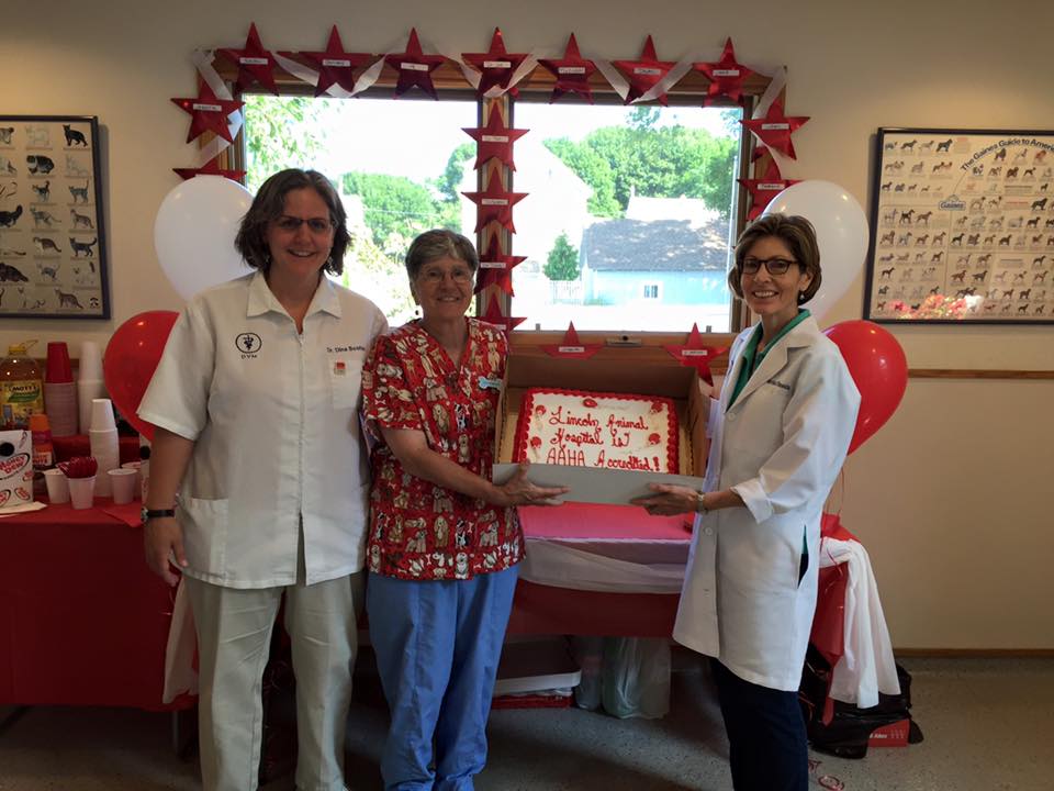 Lincoln Animal Hospital - Lincoln , United States