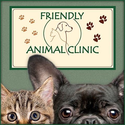 Friendly Animal Clinic - Greensboro , United States