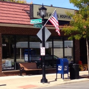 Devries Animal Hospital - Elmhurst , United States