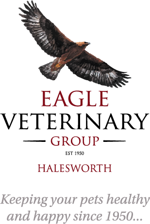 Eagle Veterinary Group Halesworth - Halesworth , United Kingdom