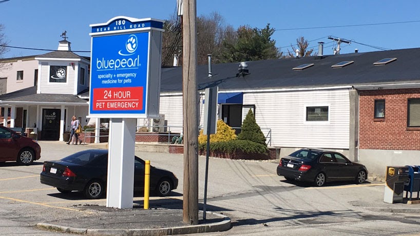 Bluepearl Pet Hospital - Waltham , United States