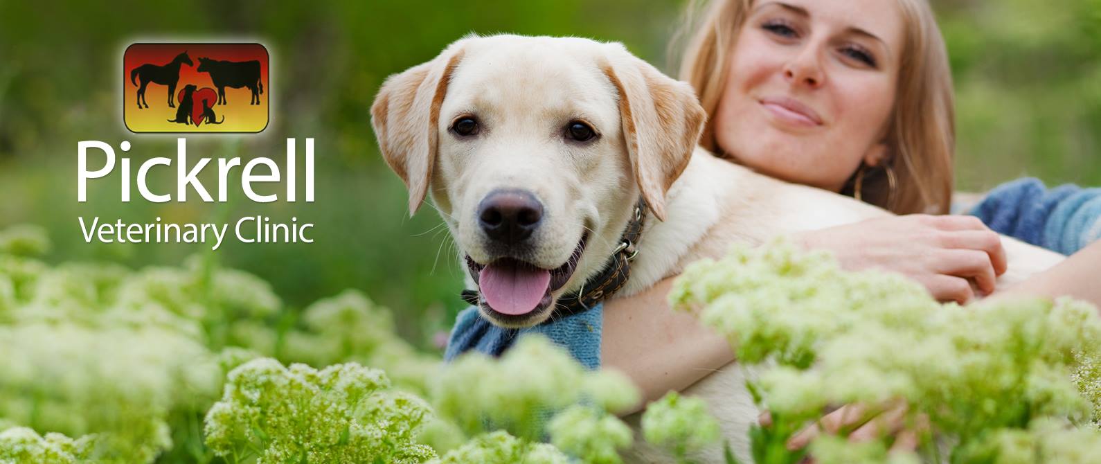 Pickrell Veterinary Clinic - Pickrell , United States