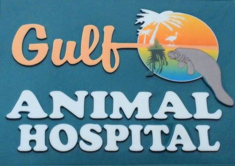 Gulf Animal Hospital - St. Petersburg , United States