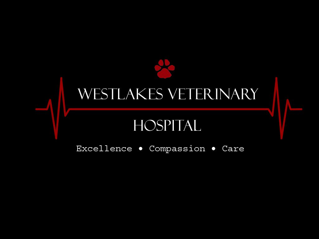 Westlakes Veterinary Hospital - Fennell Bay , Australia