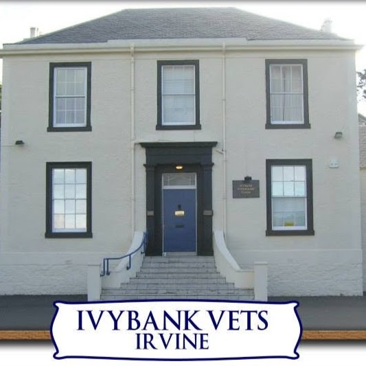 Ivybank Vets - Irvine , United Kingdom
