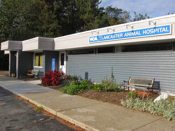 Vca Lancaster Animal Hospital - Lancaster , United States