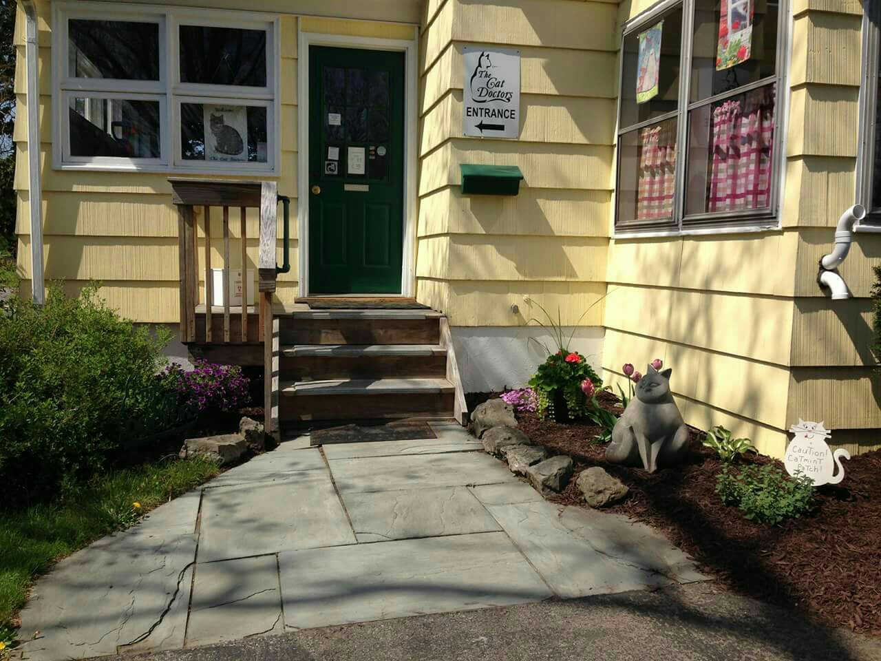 Cat Doctors - Rochester , United States