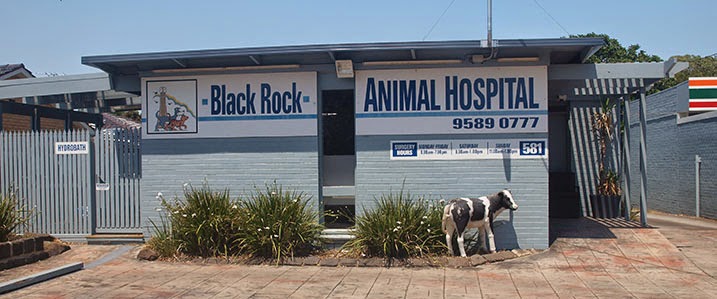 Black Rock Animal Hospital - Black Rock , Australia
