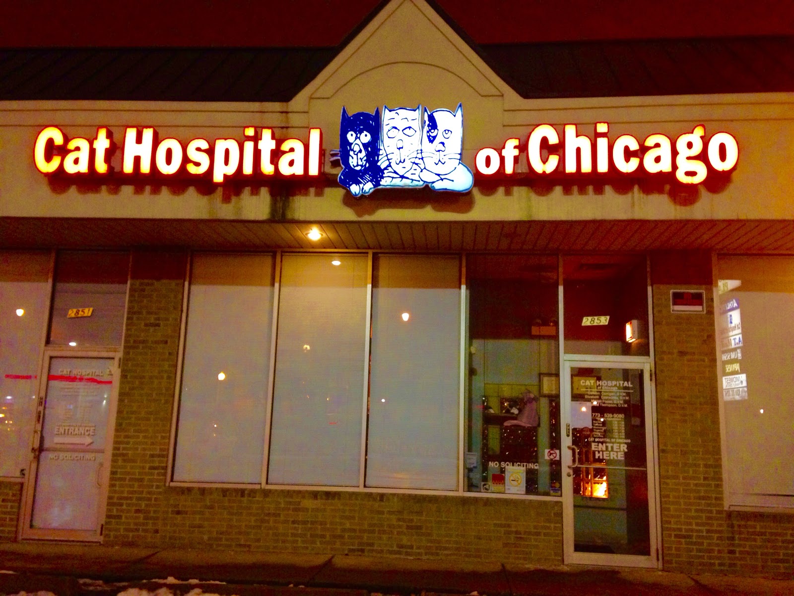 Vca Cat Hospital Of Chicago - Chicago , United States