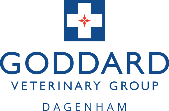 Goddard Veterinary Group Dagenham - Dagenham , United Kingdom