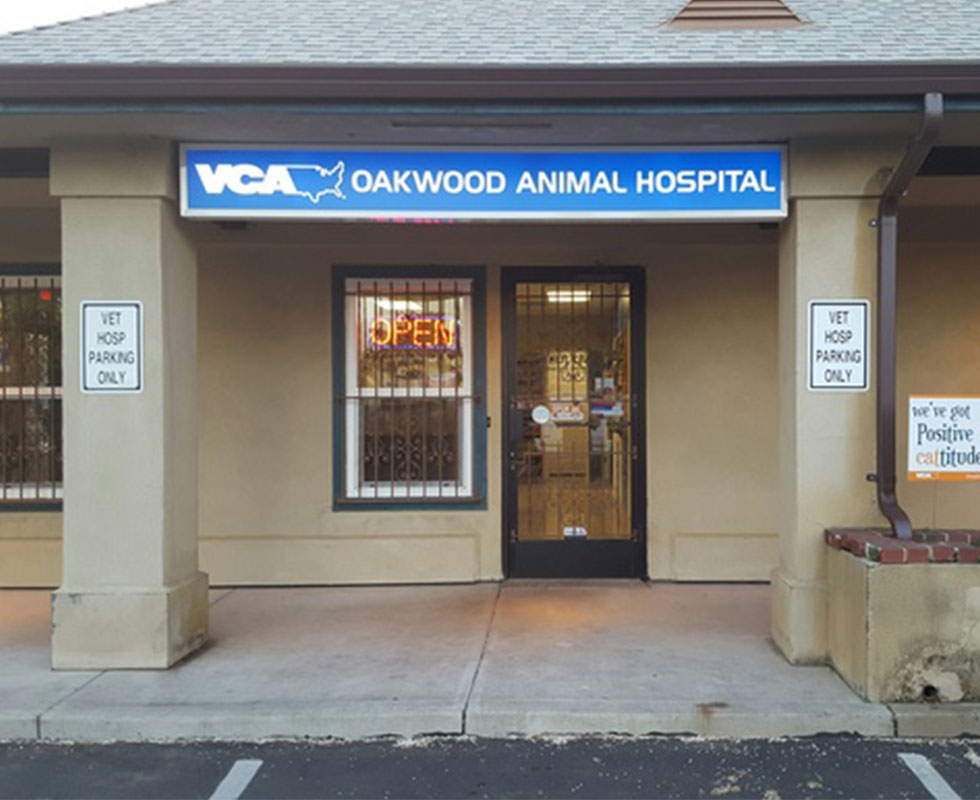 Vca oakwood sale animal hospital