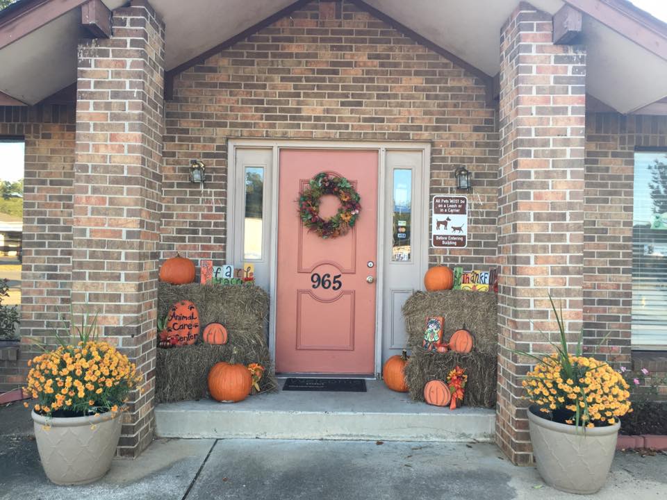 Animal Care Center - Prattville , United States
