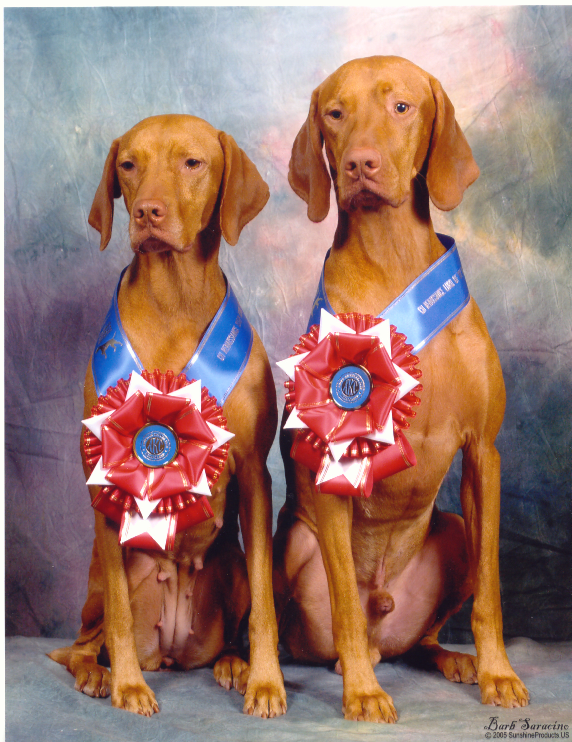Danforth Animal Hospital - Edmond , United States