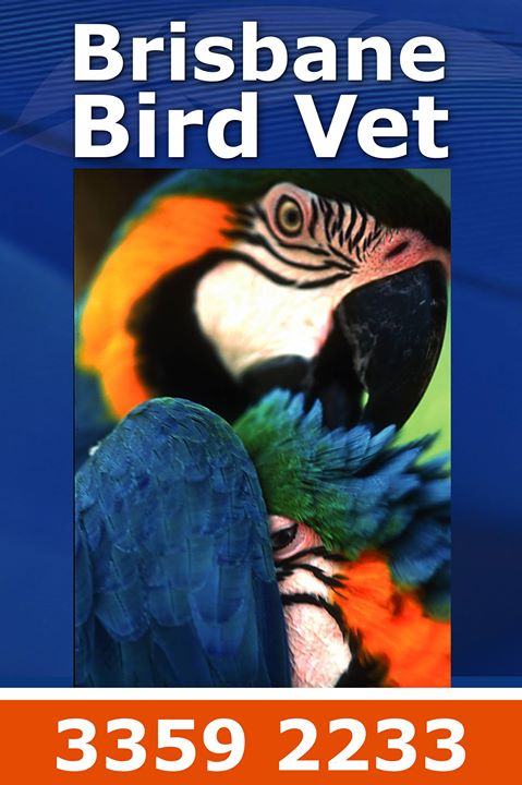 The Unusual Pet Vets Chermside - Chermside , Australia