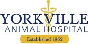 Yorkville Animal Hospital - New York , United States