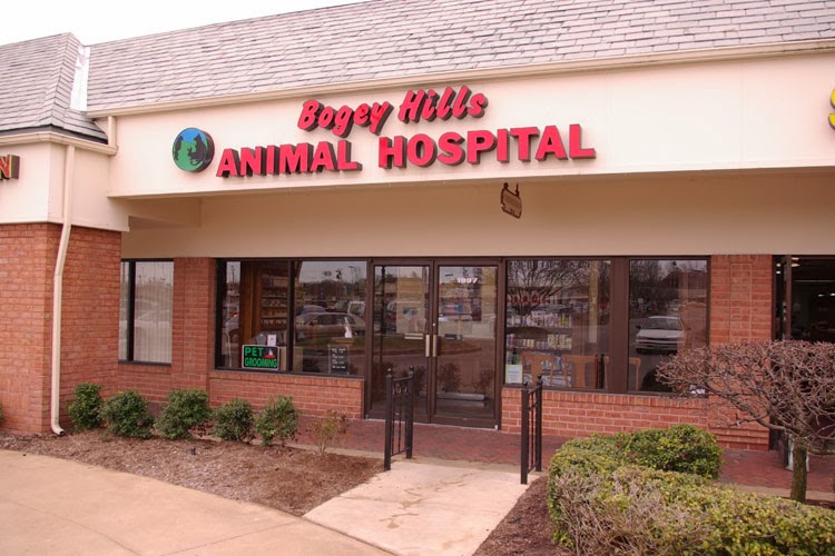 Bogey Hills Animal Hospital - St Charles , United States