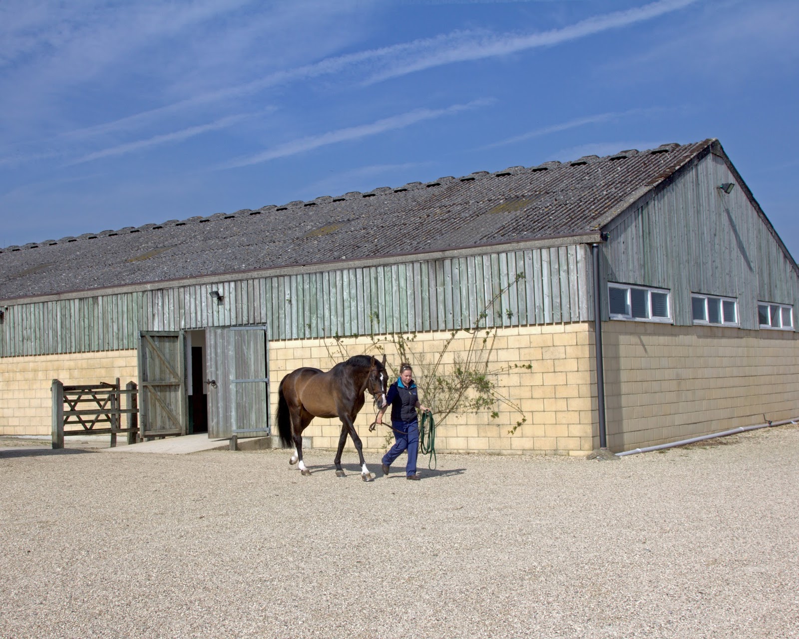 B And W Equine Vets Willesley Clinic And Stud - Tetbury , United Kingdom