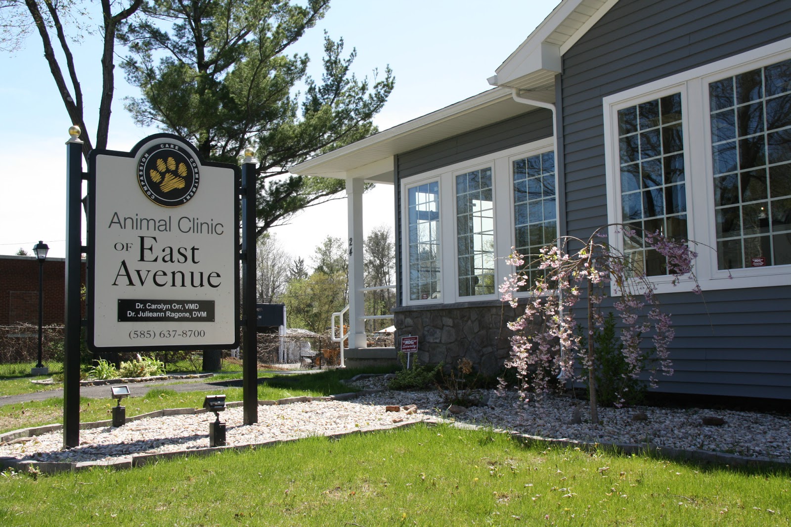 Animal Clinic Of East Avenue - Brockport , United States