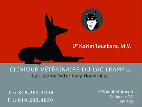 Clinique Veterinaire Du Lac Leamy Inc Dr Karime Tounkara M V - Gatineau , Canada