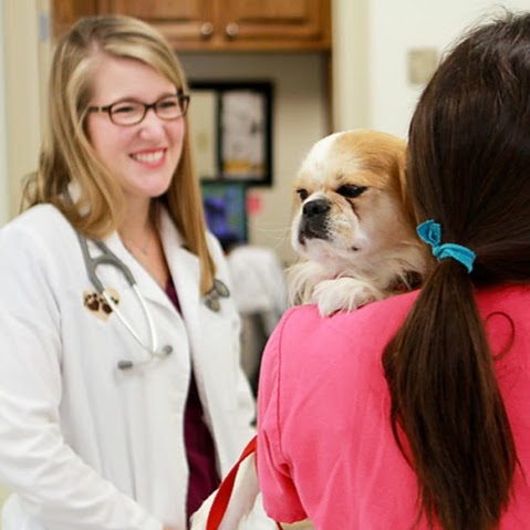 Kleinpeter Veterinary Hospital - Baton Rouge , United States
