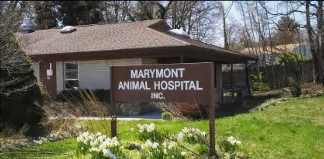 Marymont Animal Hospital - Silver Spring , United States