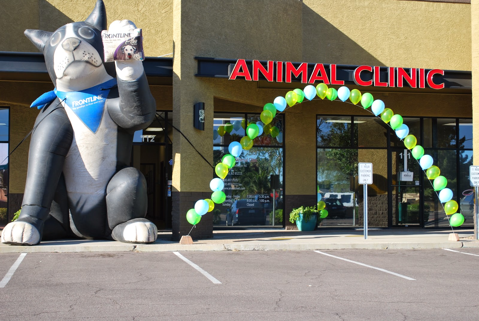 Anasazi Animal Clinic - Gilbert , United States
