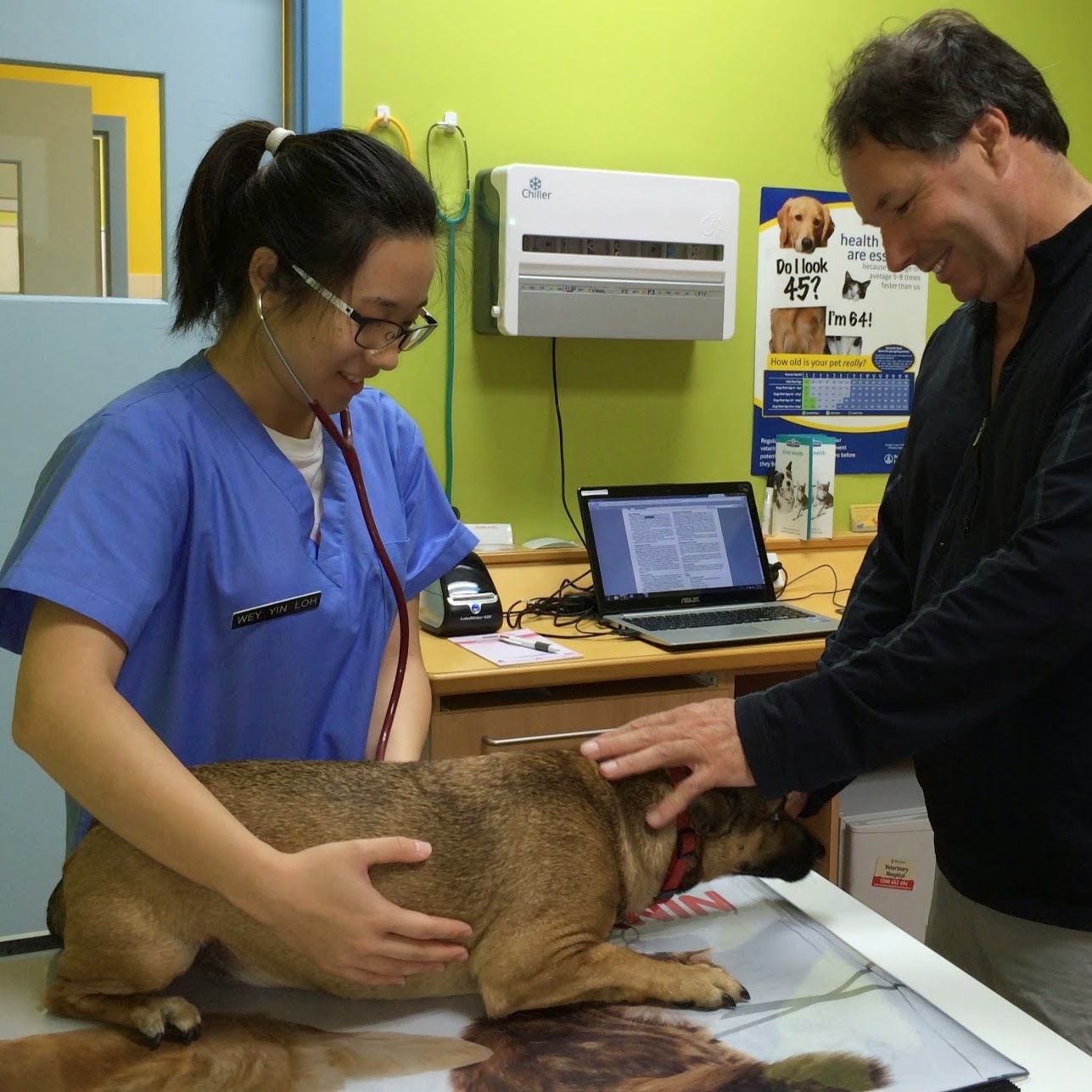 Yangebup Beeliar Veterinary Clinic - Yangebup , Australia