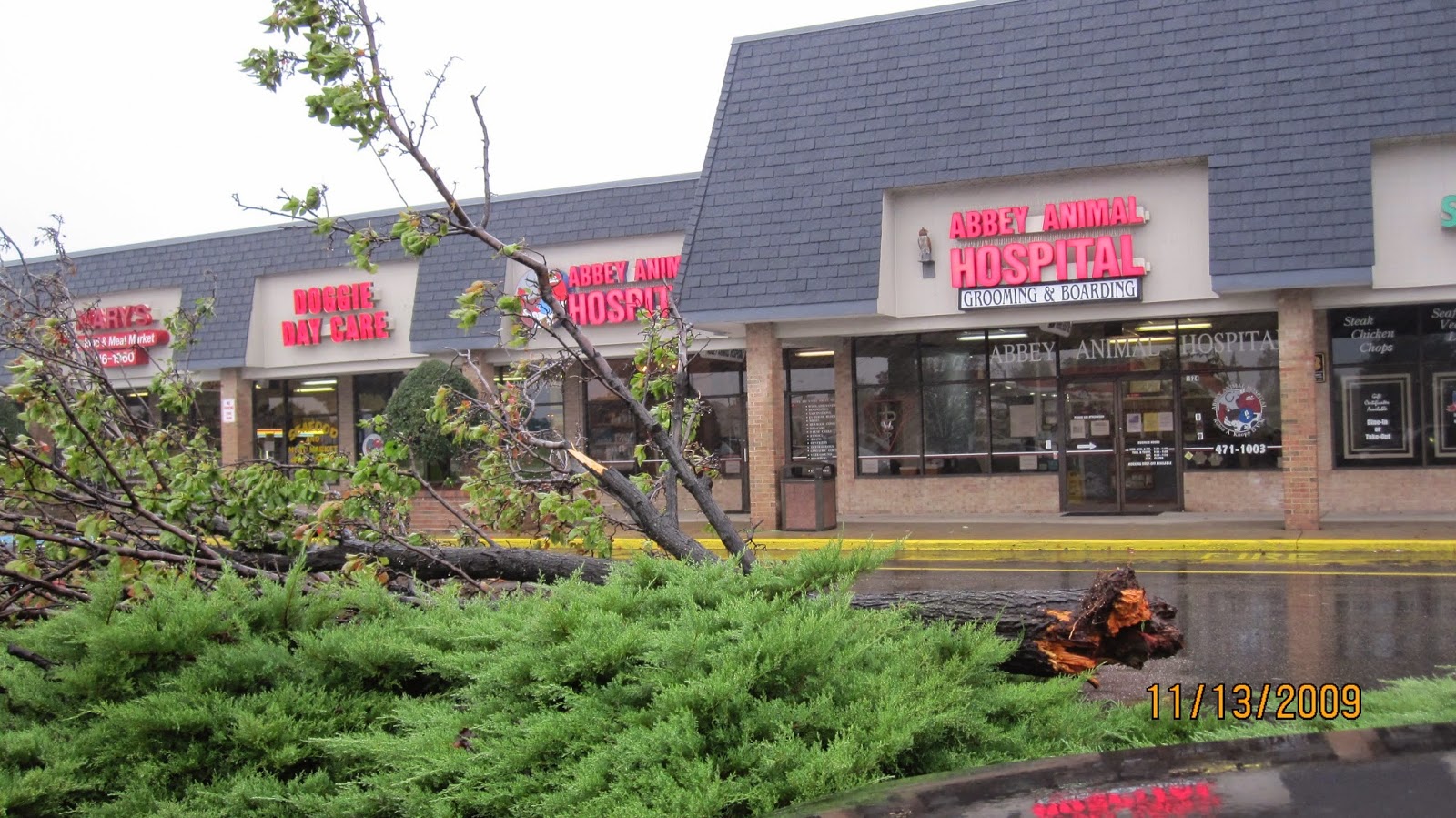 Abbey Animal Hospital - Virginia Beach , United States