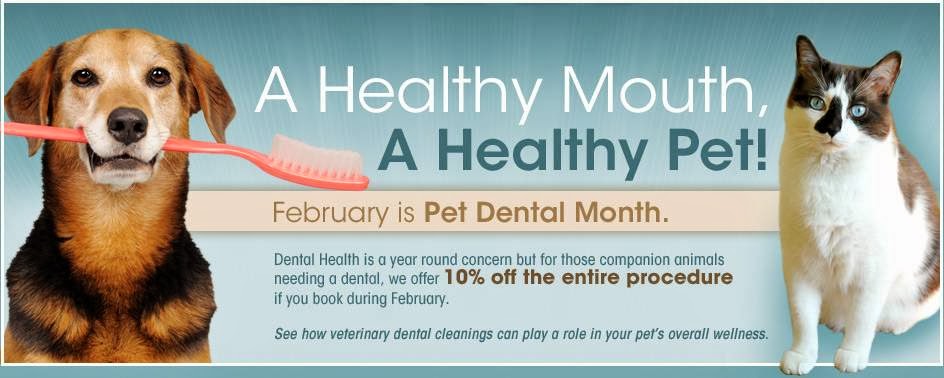 Anderson Animal Hospital And Wellness Center Winnipeg - Winnipeg , Canada