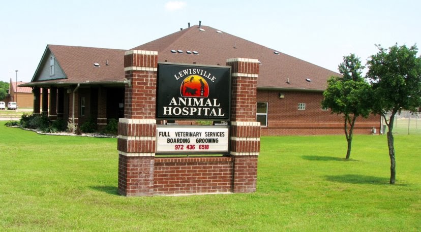 Lewisville Animal Hospital - Lewisville , United States