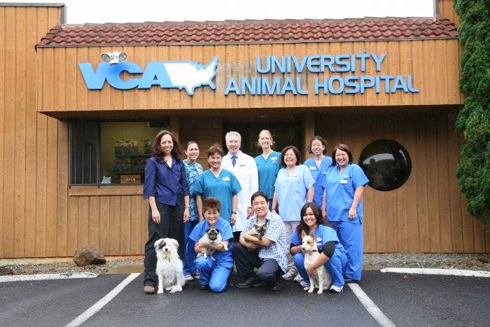 Vca University Animal Hospital - Honolulu , United States