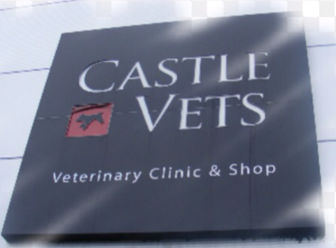 Castle Vets - Castlebar , Ireland