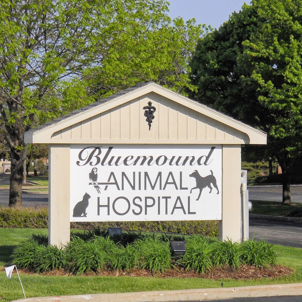 Bluemound Animal Hospital - Brookfield , United States