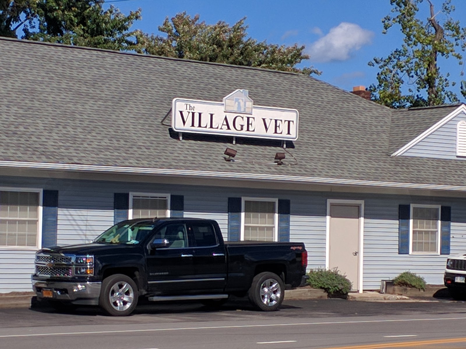 The Village Vet - Webster , United States