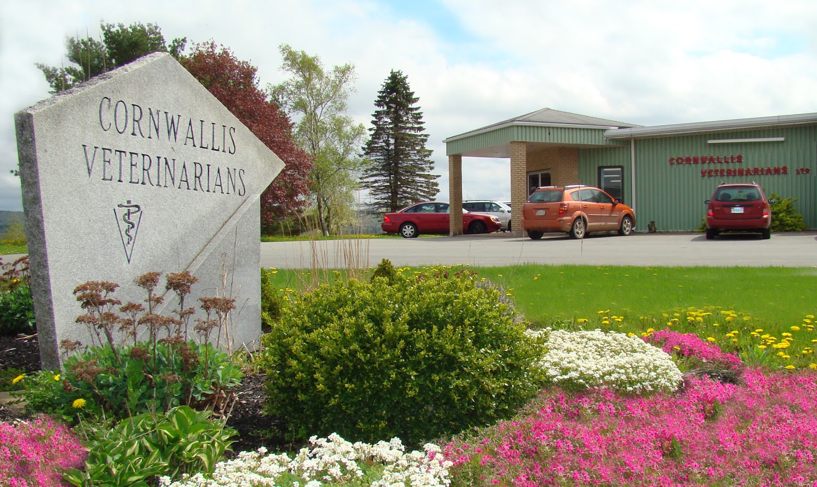 Cornwallis Veterinarians - Windsor , Canada