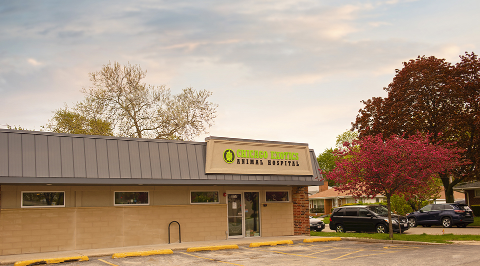 Chicago Exotics Animal Hospital - Skokie , United States