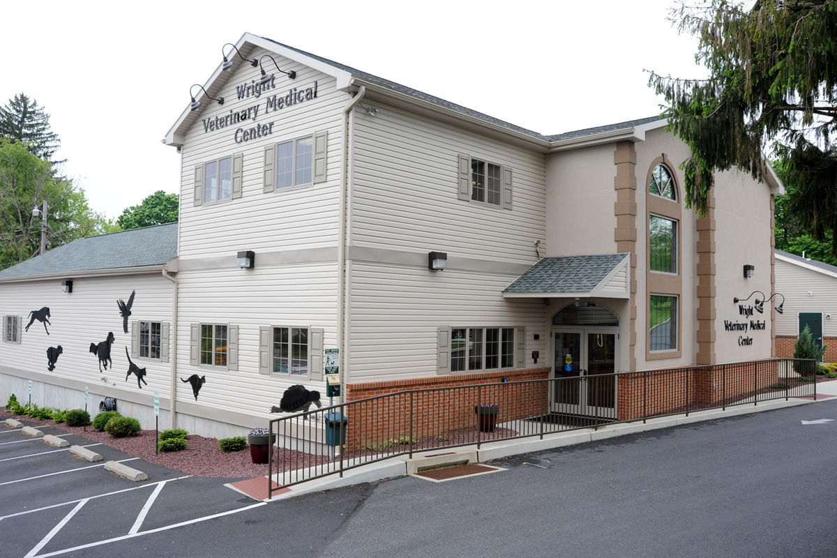 Wright Veterinary Medical Center - Bethlehem , United States