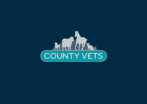 County Vets - Maybole , United Kingdom