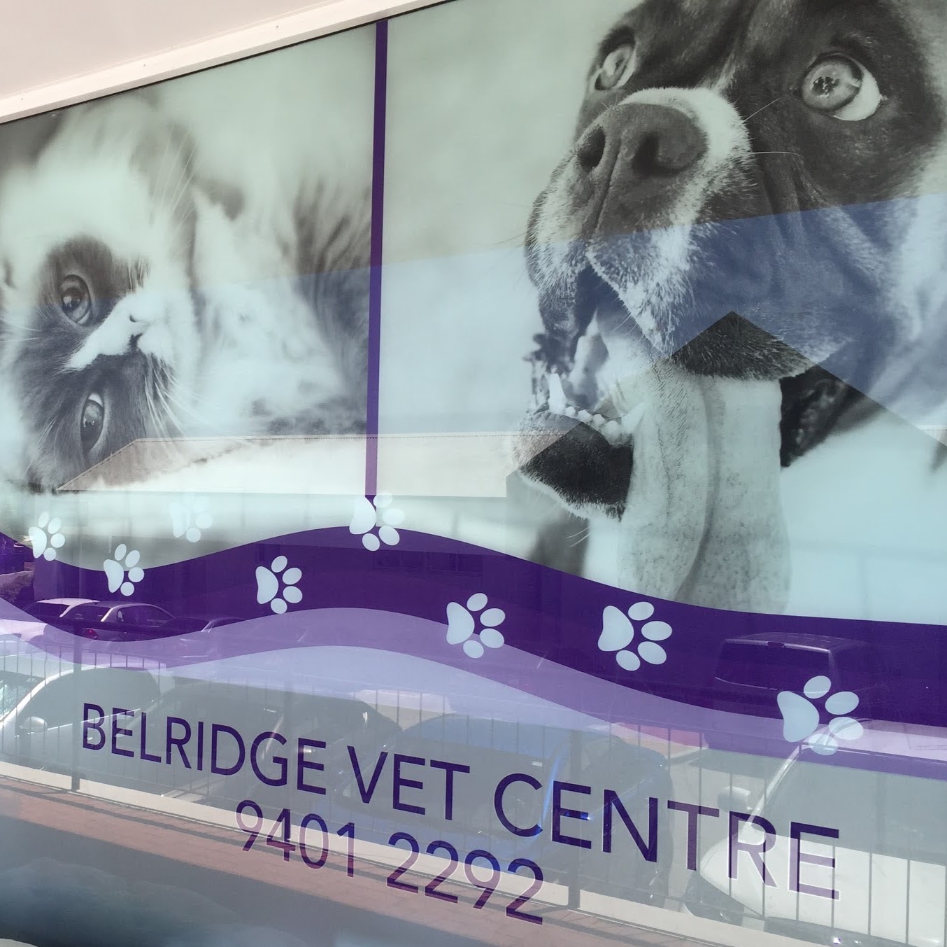 Belridge Veterinary Centre - Beldon , Australia
