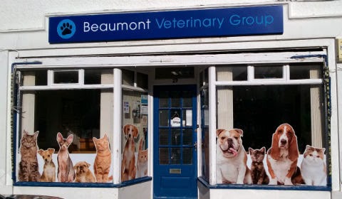 Beaumont Veterinary Group 29 Wharton Road Oxford Reviews and