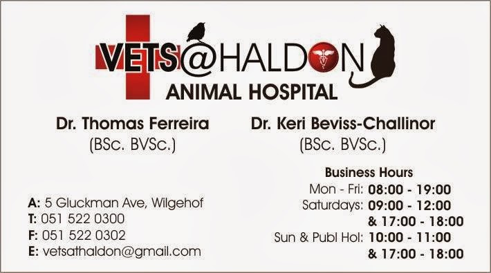 Vets At Haldon Animal Hospital - Bloemfontein , South Africa