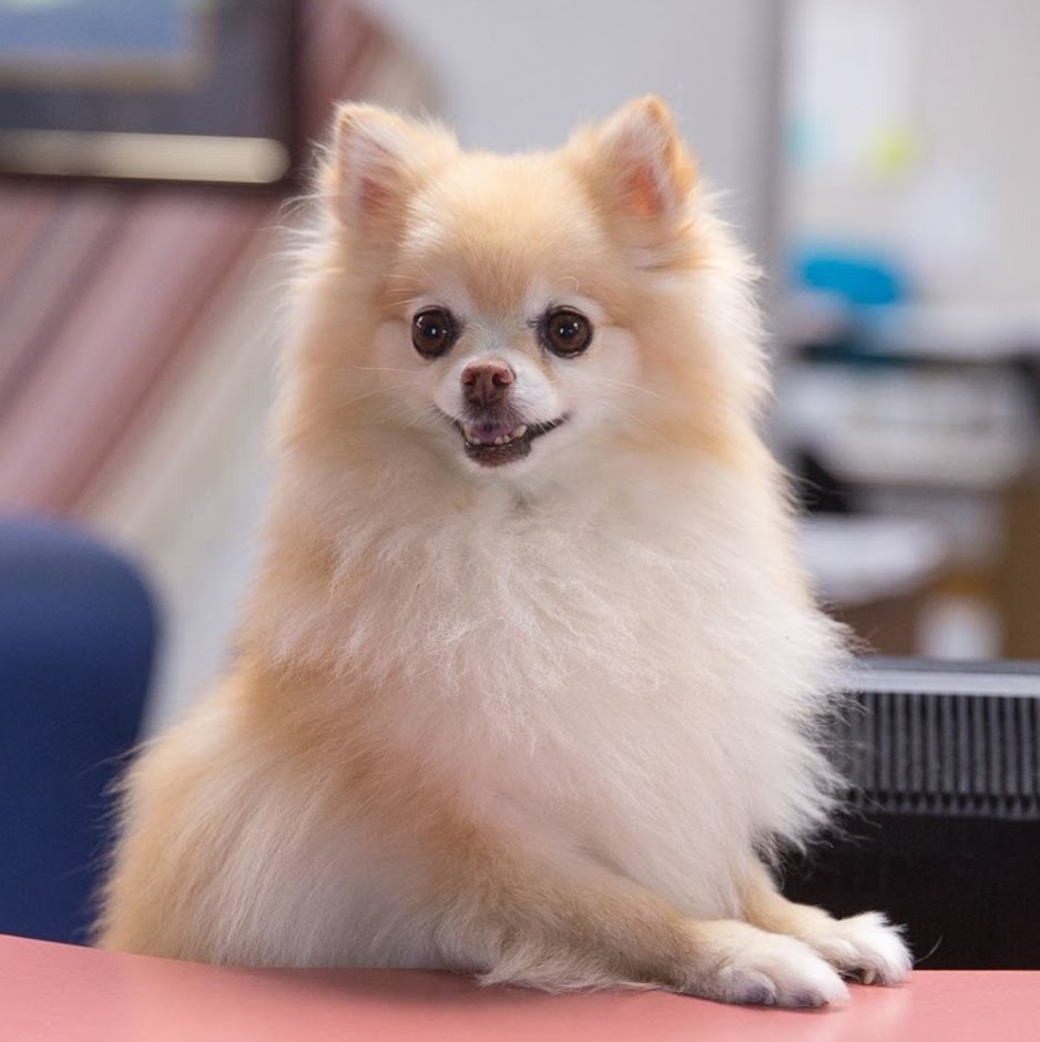 Seidl Veterinary Hospital - Hastings , United States