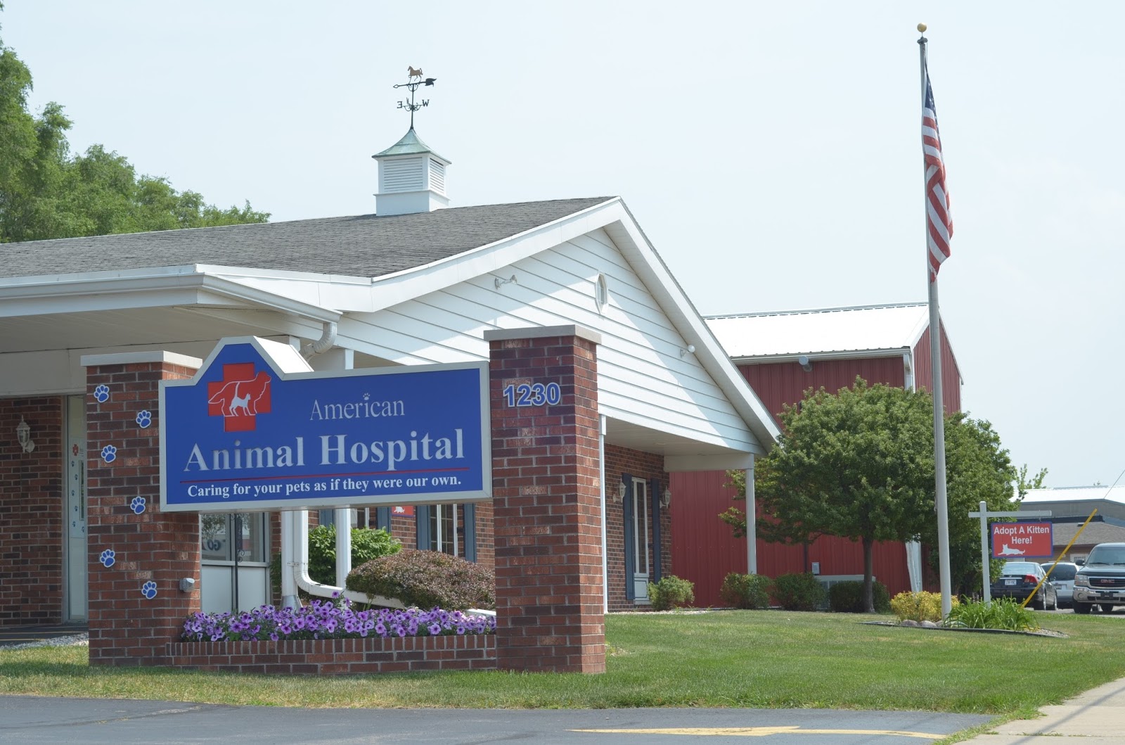 American Animal Hospital - Neenah , United States