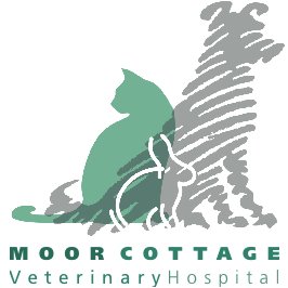 Moor Cottage Vets In Bracknell - Bracknell , United Kingdom